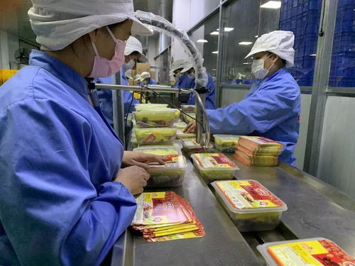 落實優(yōu)惠政策，拓展“非接觸式”辦稅，稅務(wù)部門多措并舉助力企業(yè)復(fù)工復(fù)產(chǎn)